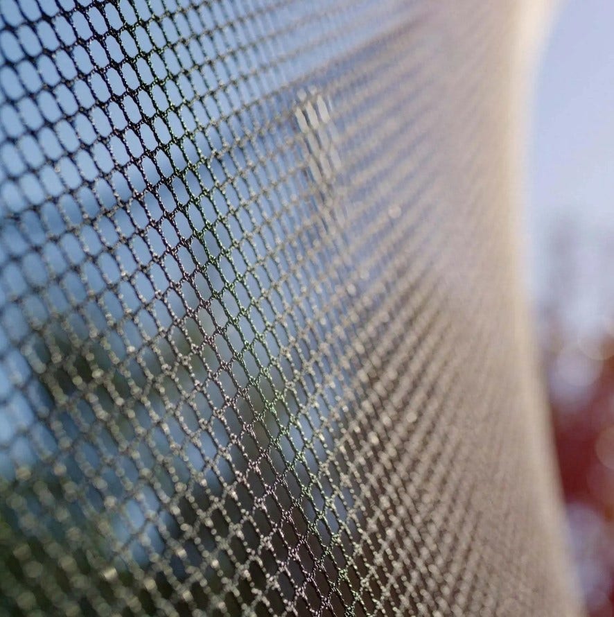 19ft x 12ft Springfree Jumbo Oval Trampoline